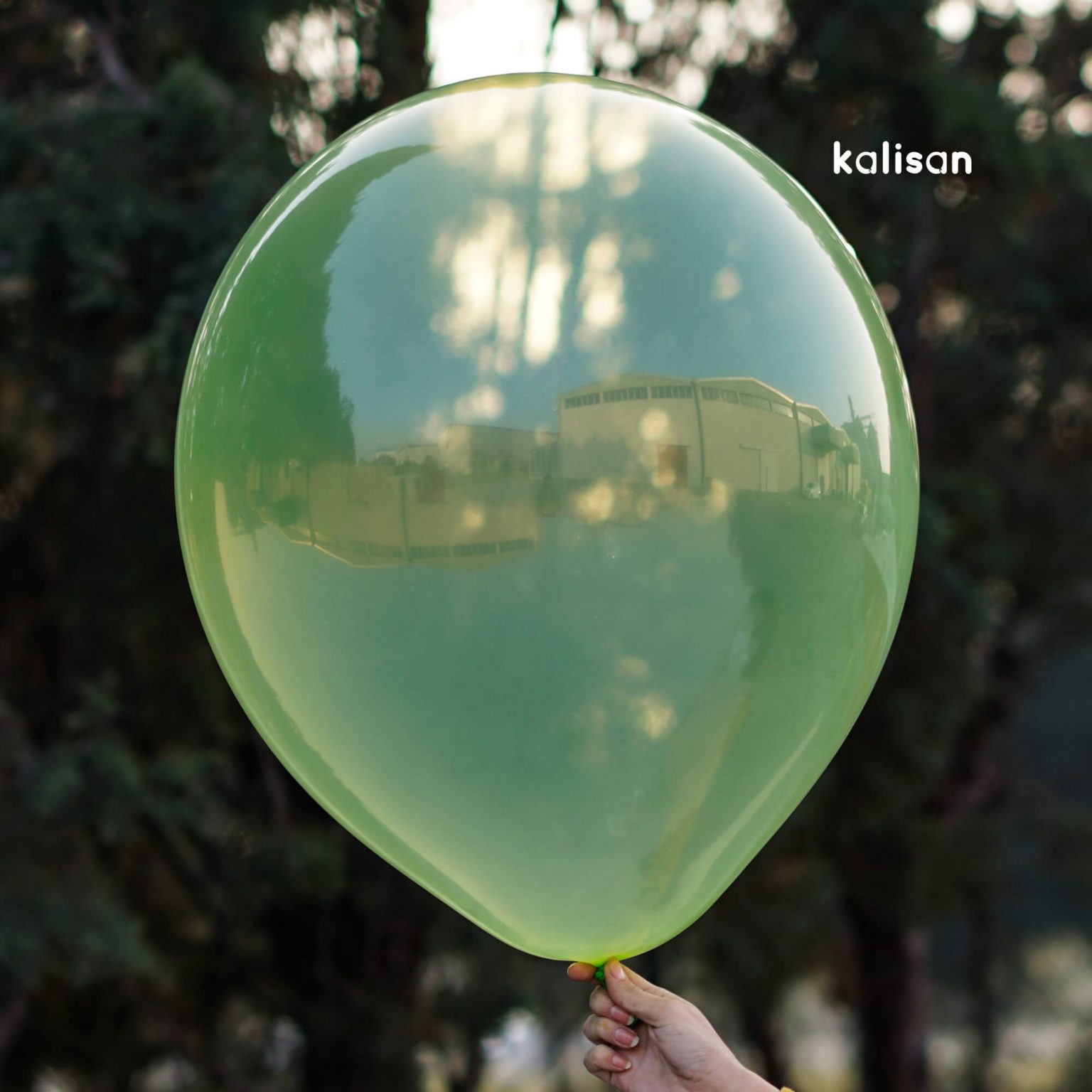 18 Pure Crystal Latex Balloons Kalisan Balloon